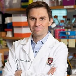 데이비드 싱클레어