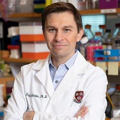 데이비드 싱클레어